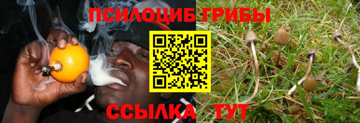 Галлюциногенные грибы мицелий  Галлюциногенные грибы прущие грибы  продажа наркотиков  Ялта  Вход с VPN 